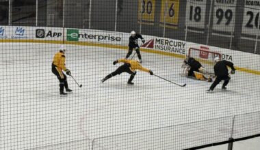 Penguins Notebook: Muse Tinkers with Lines; What Brunicke Learned