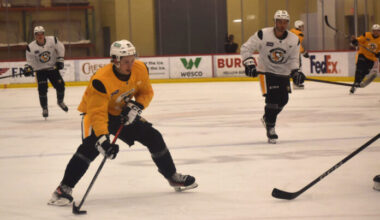 Penguins will show glimpses of future this season | News, Sports, Jobs