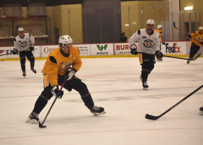 Penguins will show glimpses of future this season | News, Sports, Jobs