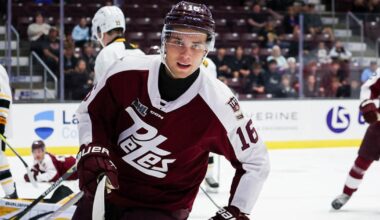 Peterborough Petes’ Adam Novotny leaves home to pursue NHL dreams