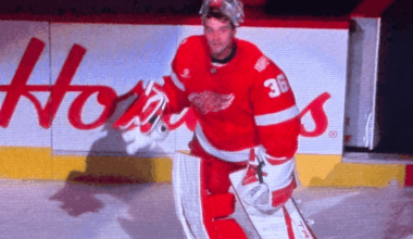 John Gibson, Red Wings