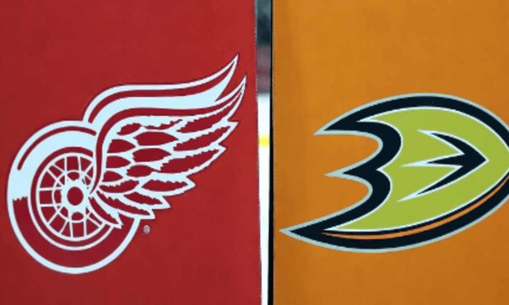Red Wings vs Ducks
