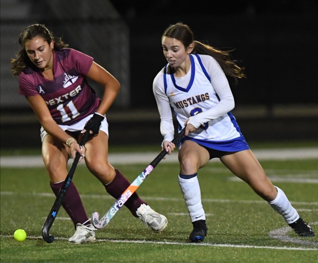 Field hockey players