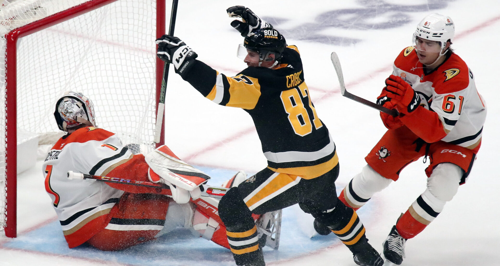 Ducks welcome Sid the Kid to the Pond