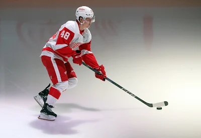 Jonatan Berggren, Detroit Red Wings