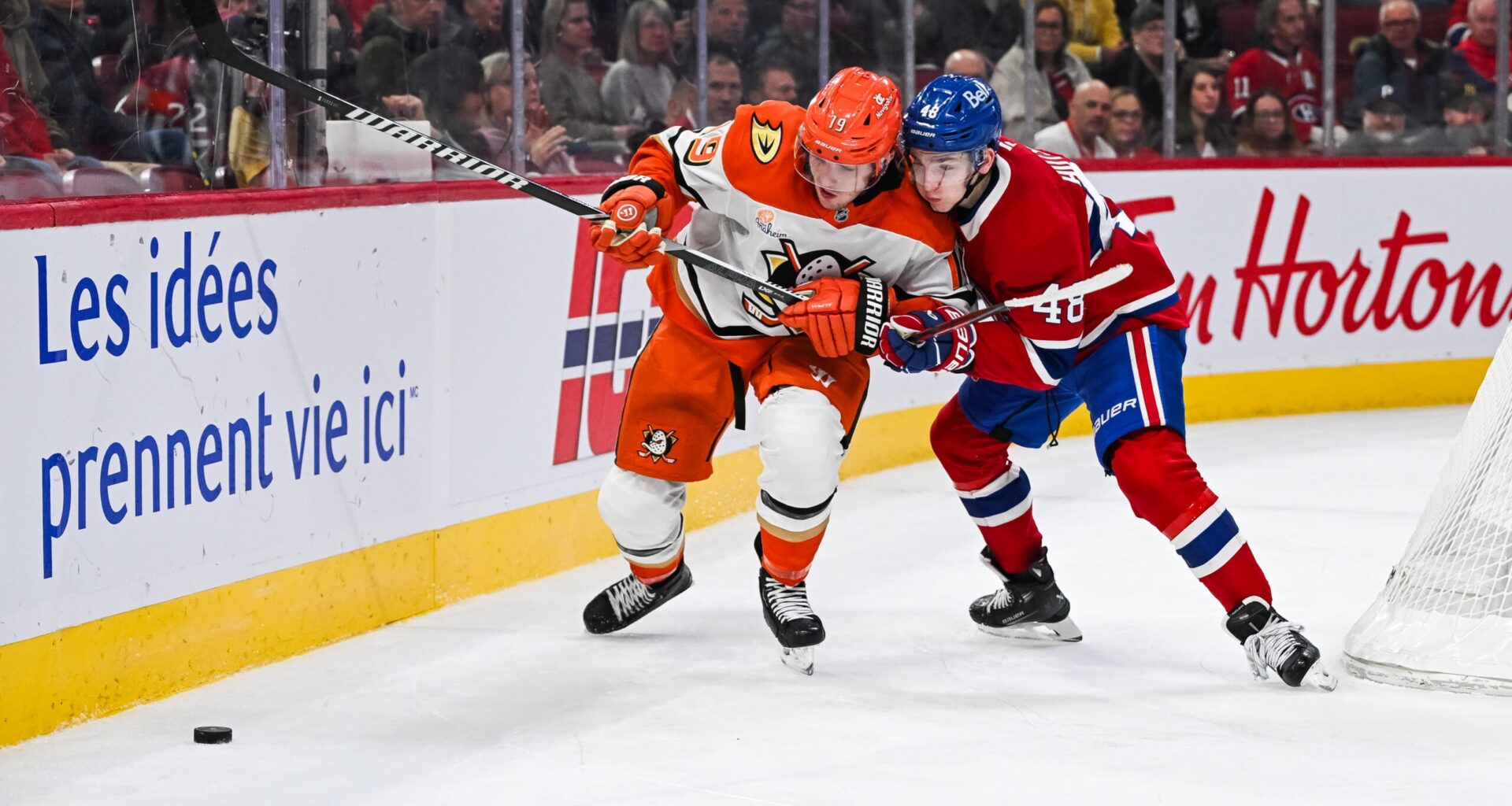 Point Projection for Anaheim Ducks Steadiest Forward Troy Terry