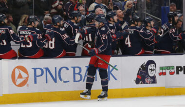 Red Wings Activate James Van Riemsdyk