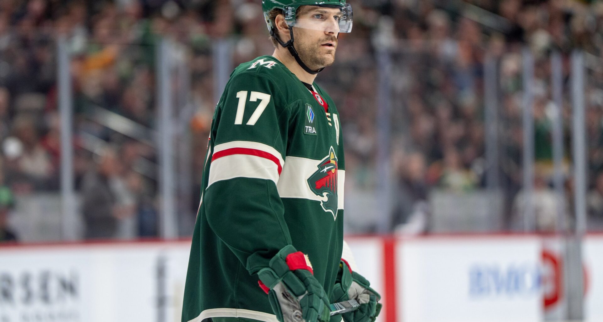 When Moose Calls To Say Goodnight - Minnesota Wild