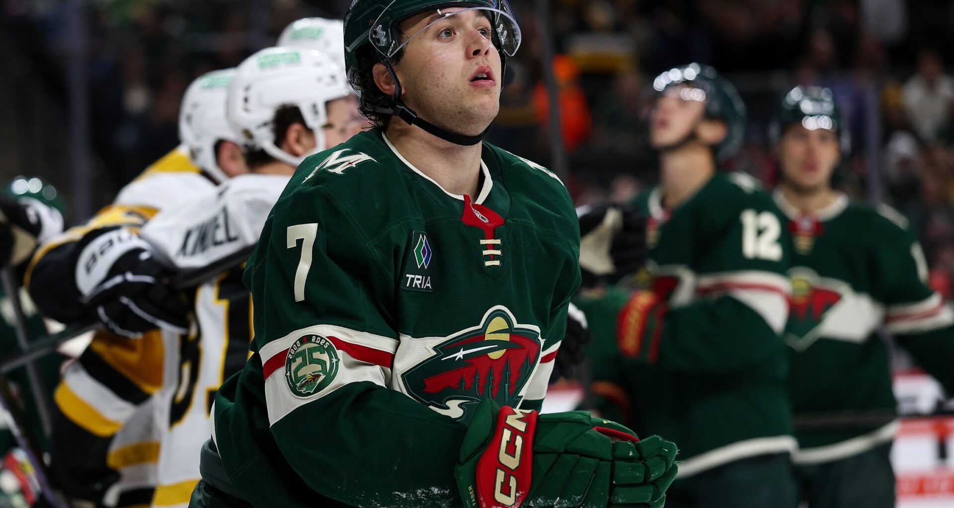 We Are In the Minnesota Wild's Metapod Era - Minnesota Wild