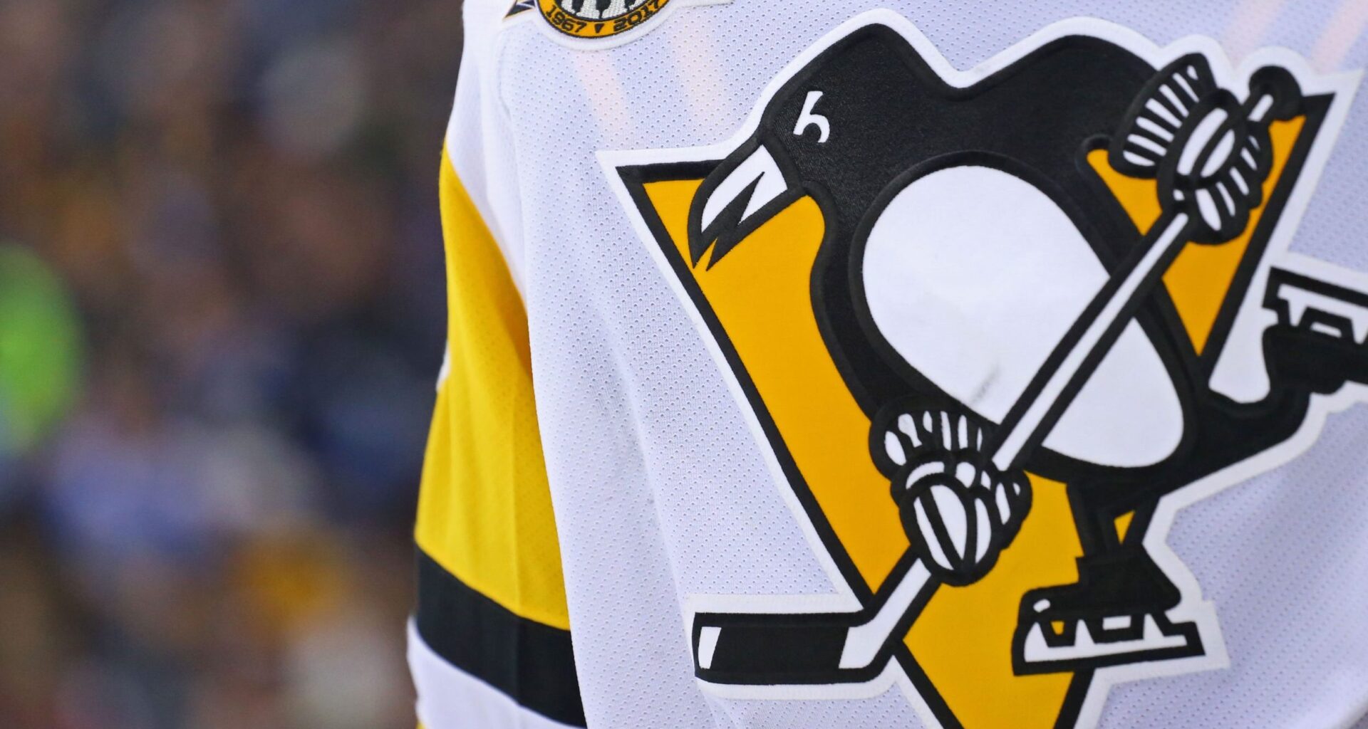 Penguins TV announcer 'OK' after fainting mid-game