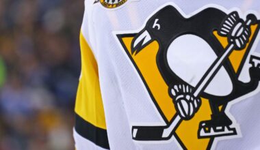 Penguins TV announcer 'OK' after fainting mid-game
