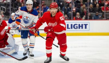 Moritz Seider, Red Wings