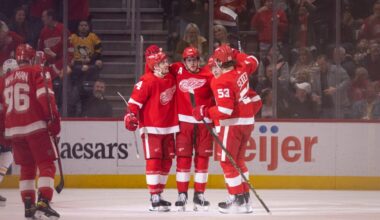 Red Wings celebrate