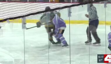 Edwardsville Hockey Club hosts special event to raise funds for cancer