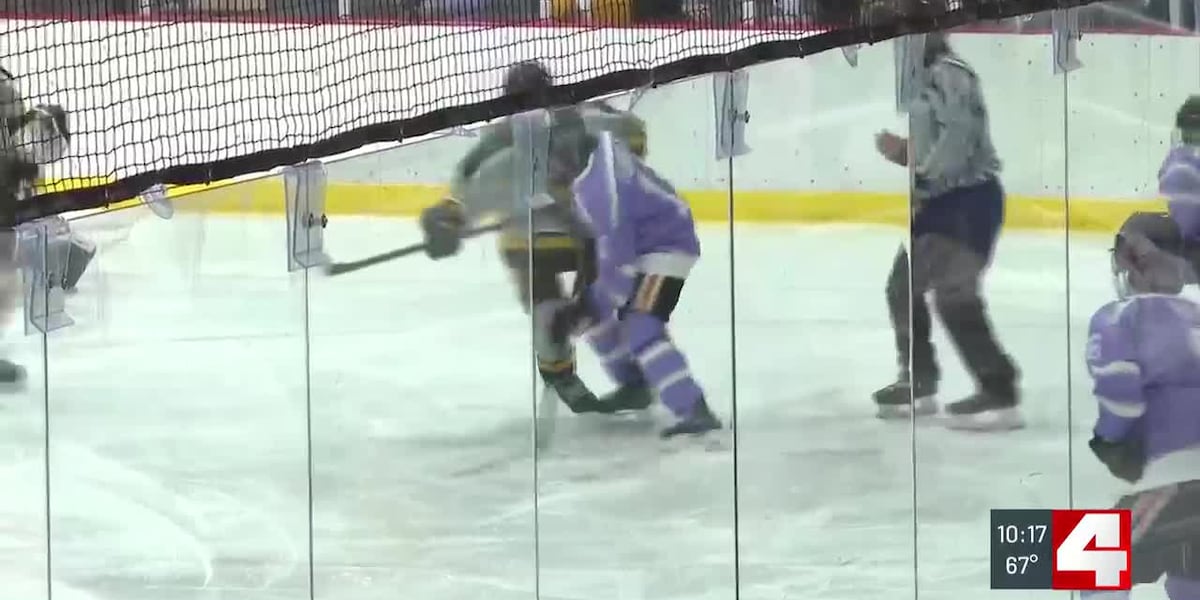 Edwardsville Hockey Club hosts special event to raise funds for cancer