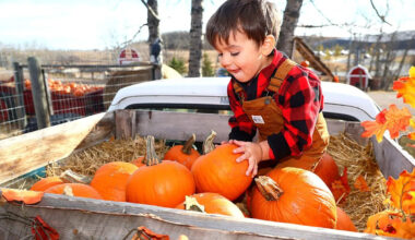 Things to do in Calgary in October: Calgary Flames | Thanksgiving