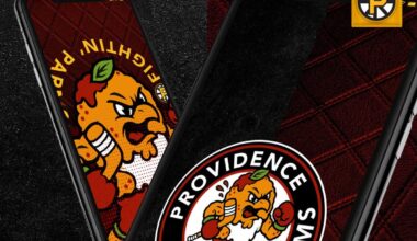 Providence Bruins Will Debut Hilarious New Name This October