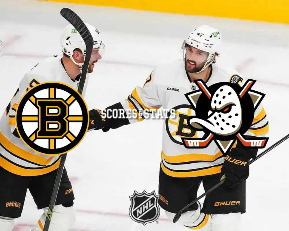 bruins v ducks