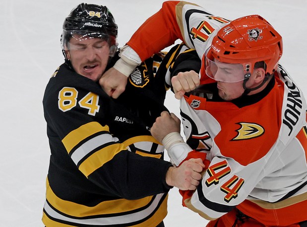 Ross Johnston (44) of the Anaheim Ducks and Tanner Jeannot of the Boston Bruins fight during the second period. (Photo By Matt Stone/Boston Herald)