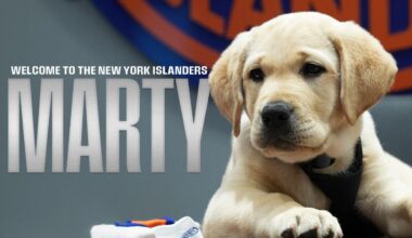 Islanders Fans Votes Are In, The Sixth New York Islanders’ Puppy With a Purpose® Will Be Named “Marty”