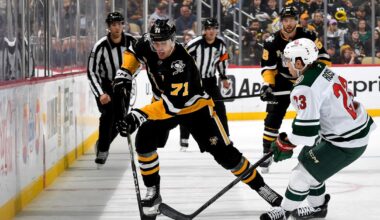 Pens Points: Into the Wild