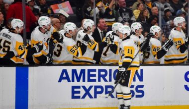 Filip Hallander’s long journey back to the Penguins finally pays off