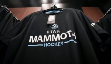 NHL team faces trademark battle with Mammoth Hockey LLC