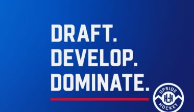 Upside Hockey's 2025 NHL Draft Rankings Fantasy Edition
