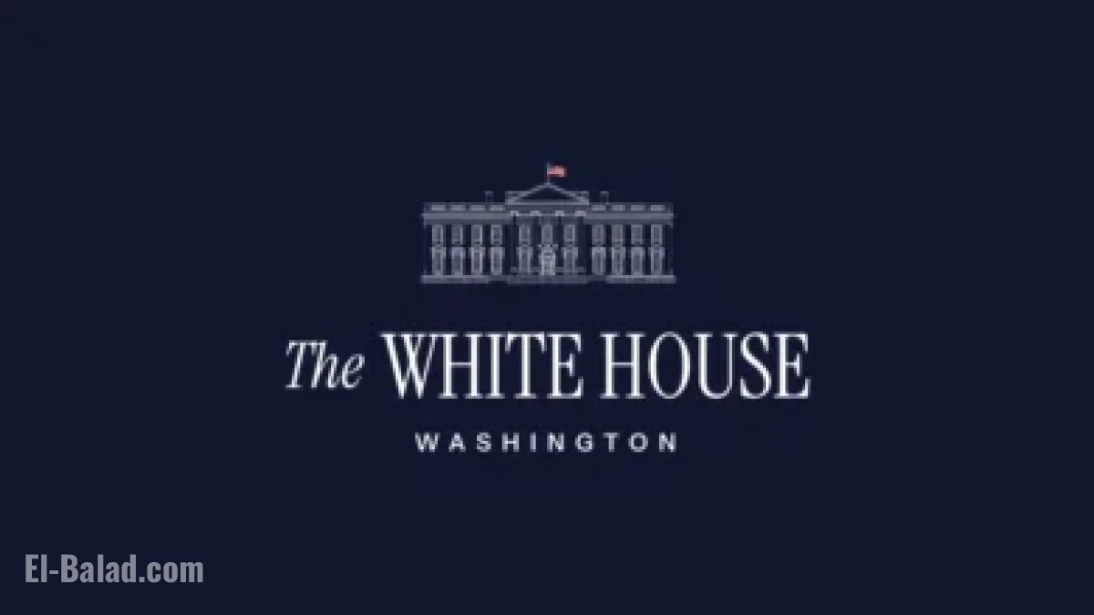 Stars vs Kings: Your Ultimate Game Day Guide