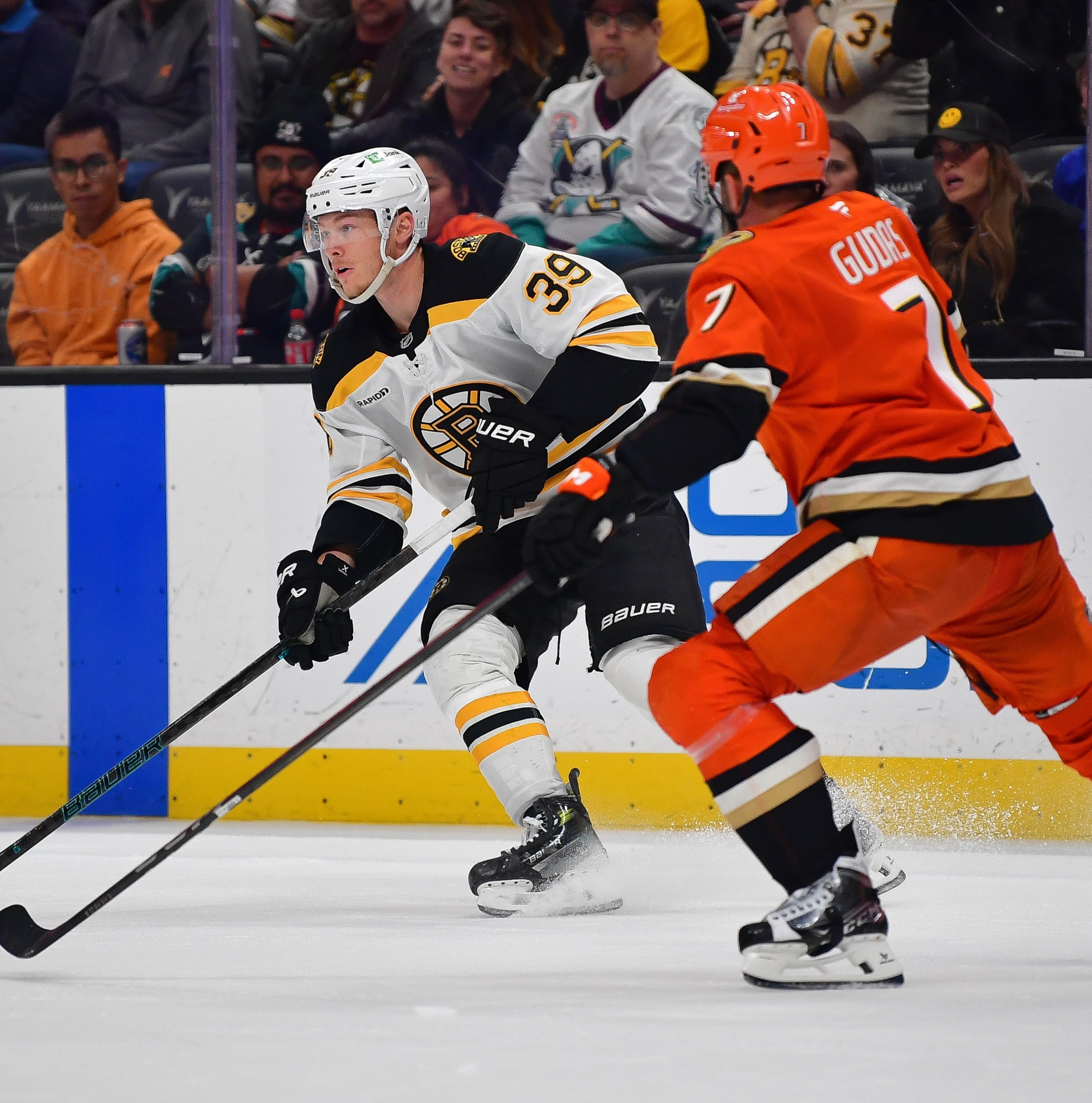 Public Skate: Bruins vs. Ducks