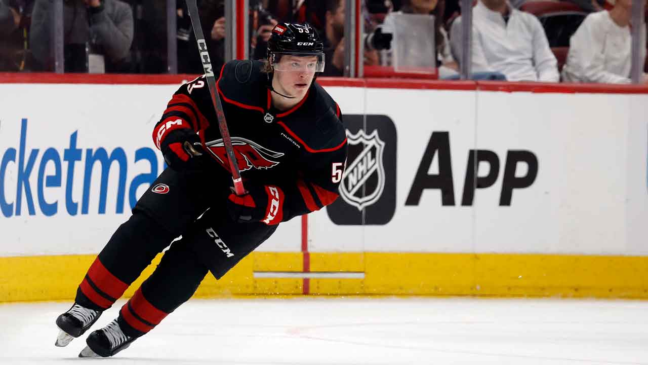 Hurricanes' Jackson Blake fined for slashing Ducks' Jacob Trouba