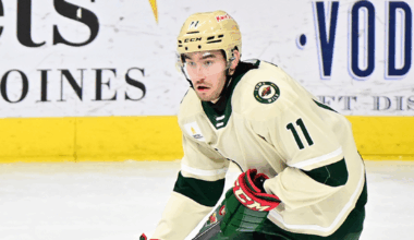 MINNESOTA WILD REASSIGNS DEFENSEMAN DAVID JIRICEK TO IOWA