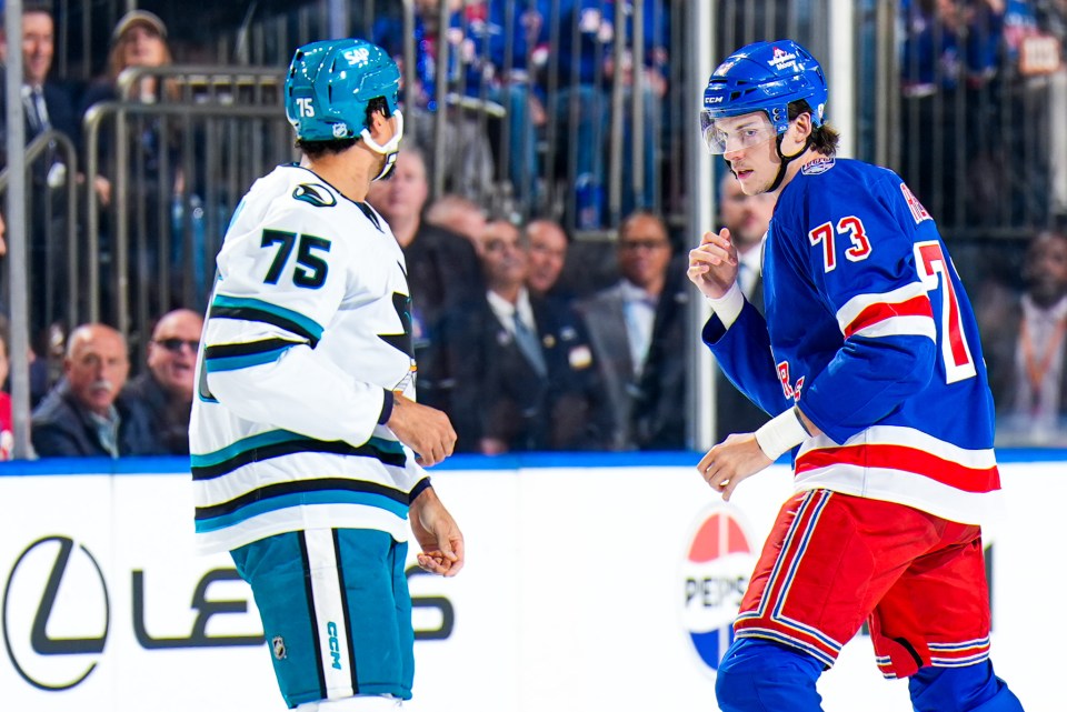 Rempe and Reaves' fight went viral as the pair exchanged punches at Madison Square Garden