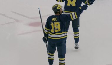 montreal canadiens prospect michael hage