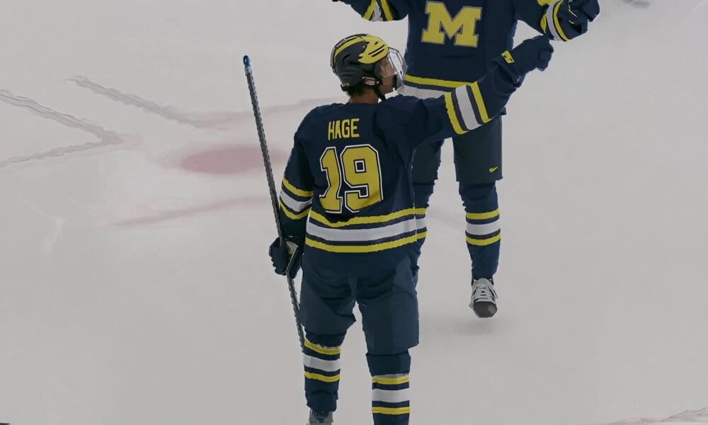 montreal canadiens prospect michael hage