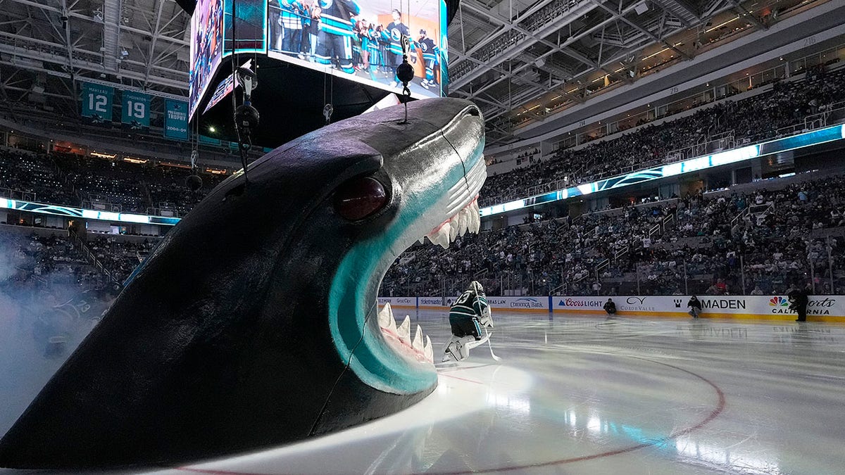 Sharks players enter the ice