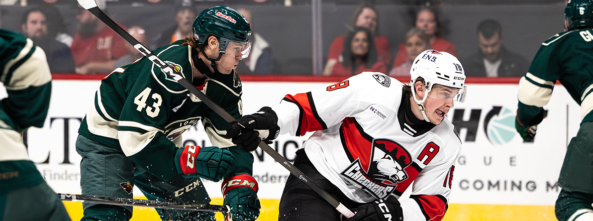 GAME PREVIEW: IOWA WILD AT CHARLOTTE CHECKERS