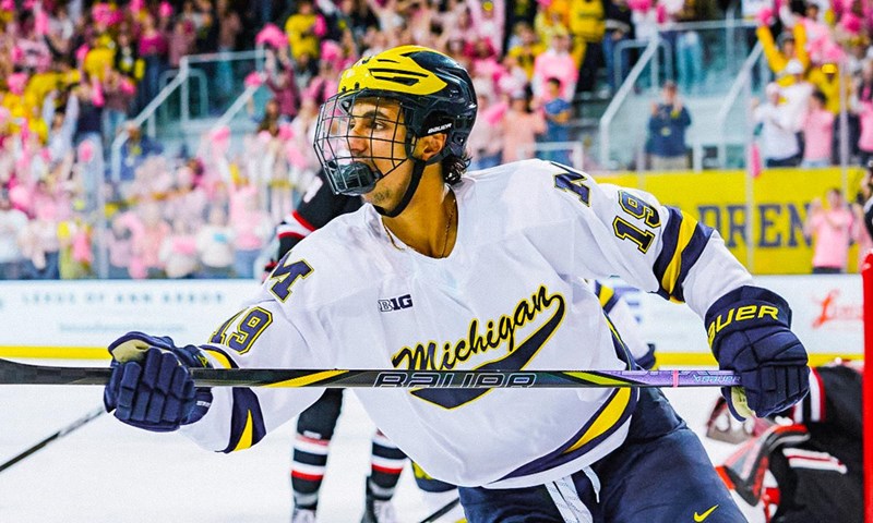Alumni Headline College Hockey Rosters