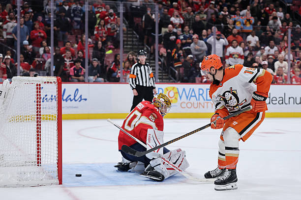 Ducks vs. Red Wings Prediction & Picks - Oct. 31