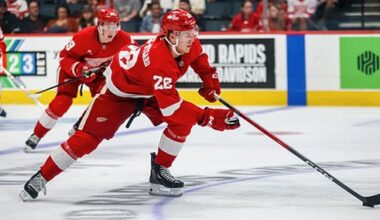 Michael Brandsegg-Nygard, Red Wings