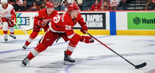 Michael Brandsegg-Nygard, Red Wings