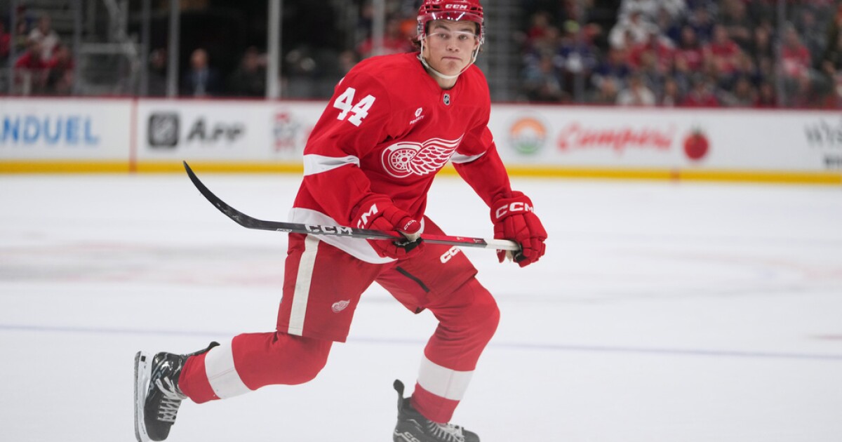 Detroit Red Wings finalize 23-man roster with 3 rookies