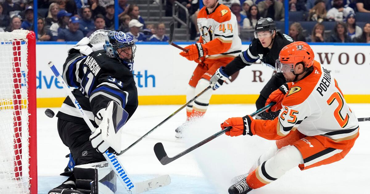 Ducks fall a goal short in loss at Tampa Bay