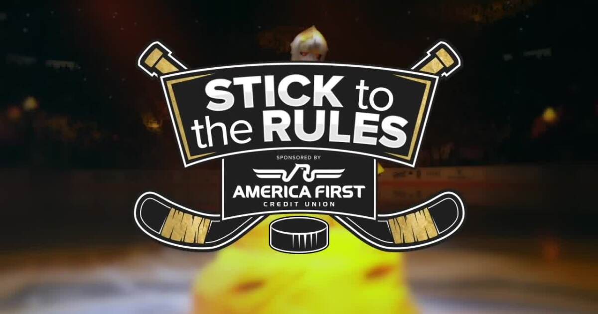 What Is the Goal Crease?