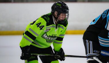 Four future Bulldogs make preliminary 2026 NHL Draft rankings - Duluth News Tribune