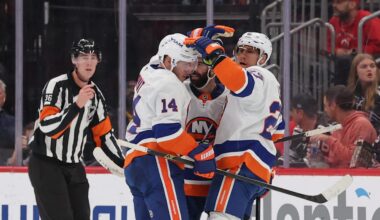 Nov 10, 2025; Newark, New Jersey, USA; New York Islanders center Bo Horvat (14) celebrates his goal against the New Jersey Devils during the second period at Prudential Center. Mandatory Credit: Ed Mulholland-Imagn Images