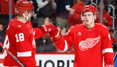 Nov 13, 2025; Detroit, Michigan, USA;  Detroit Red Wings defenseman Axel Sandin-Pellikka (44) receives congratulations from center Andrew Copp (18) after scoring in the second period against the Anaheim Ducks at Little Caesars Arena. Mandatory Credit: Rick Osentoski-Imagn Images