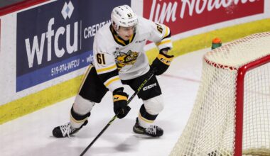 Sarnia Sting v Windsor Spitfires