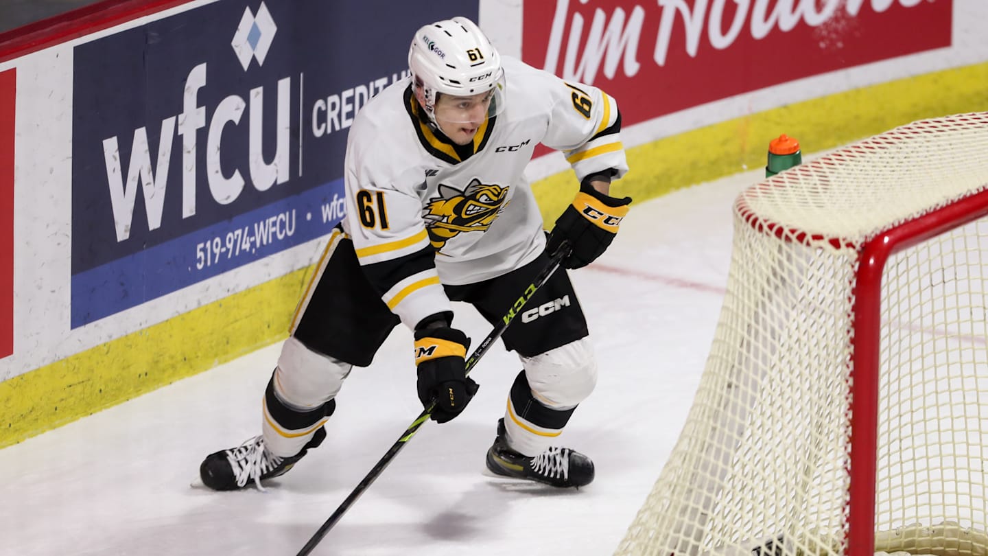Sarnia Sting v Windsor Spitfires