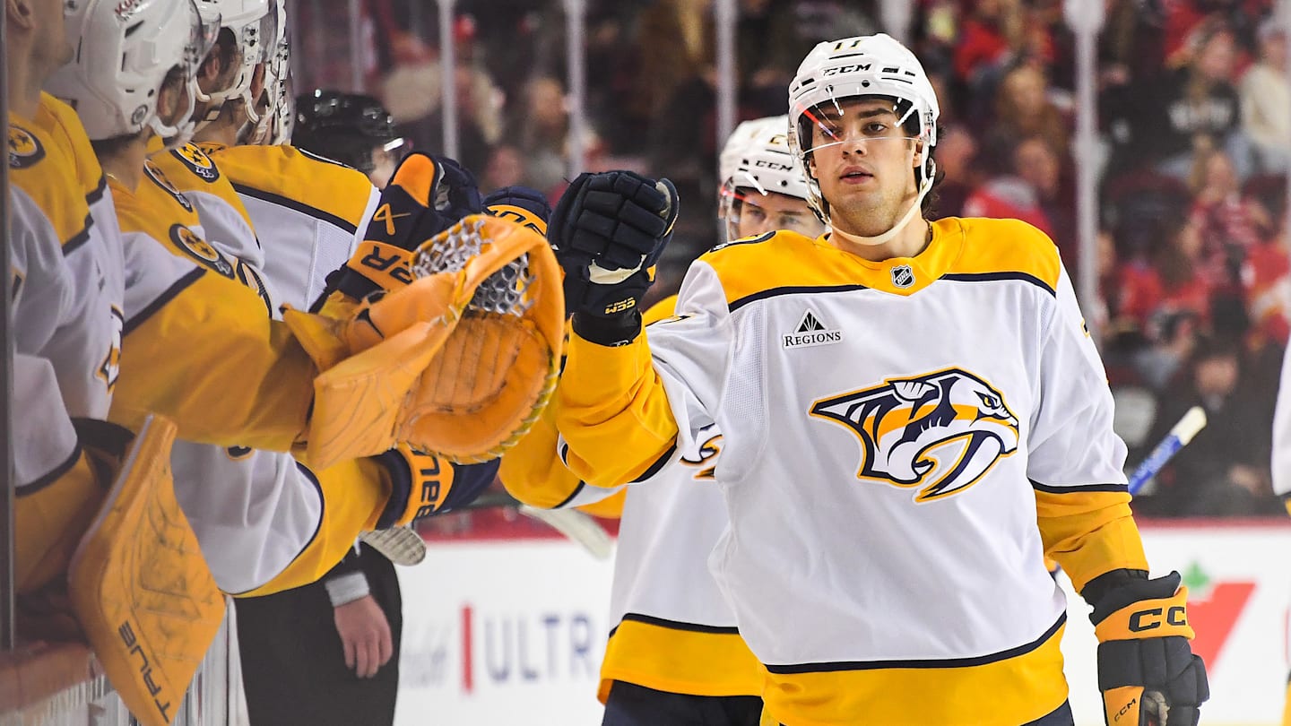 Roman Josi Nashville Predator